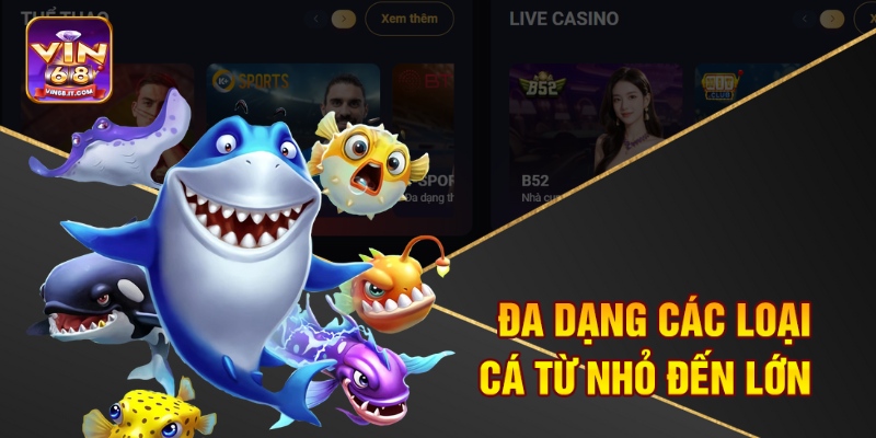 Đa dạng các loại cá từ nhỏ đến lớn