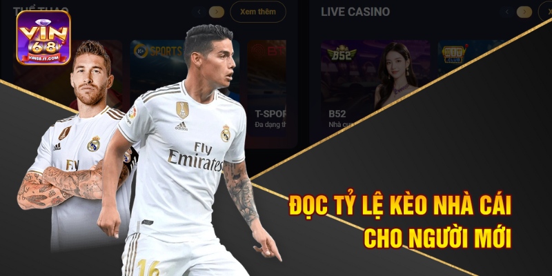 Đọc tỷ lệ kèo nhà cái cho người mới