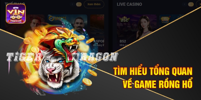 Tìm hiểu tổng quan về game Rồng hổ 